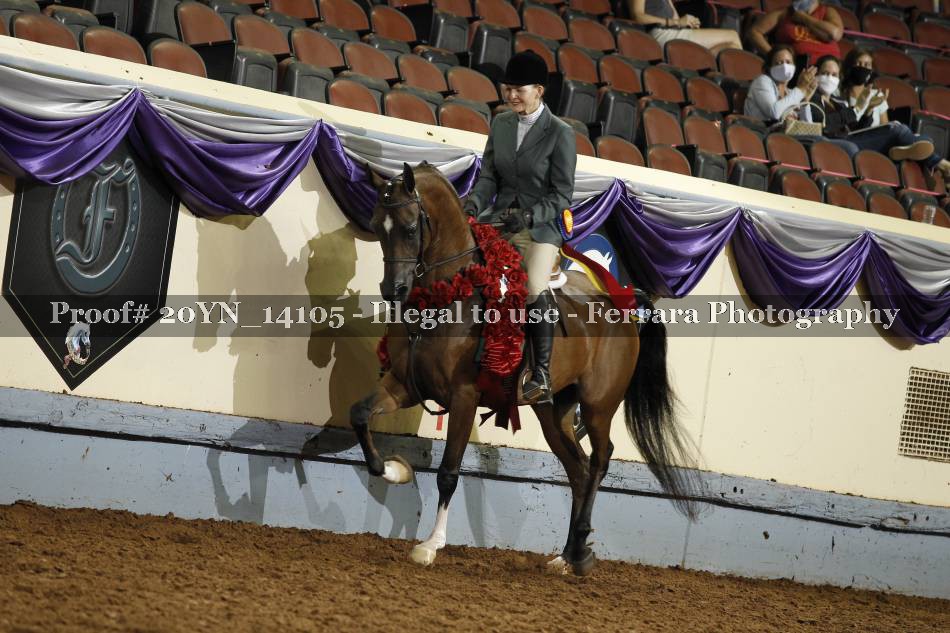 Proof 20YN_14105