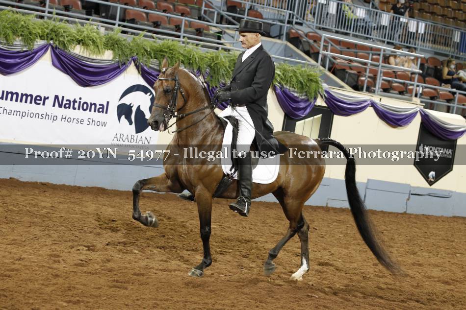 Proof 20YN_54977