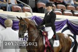 20YN_55013 proof