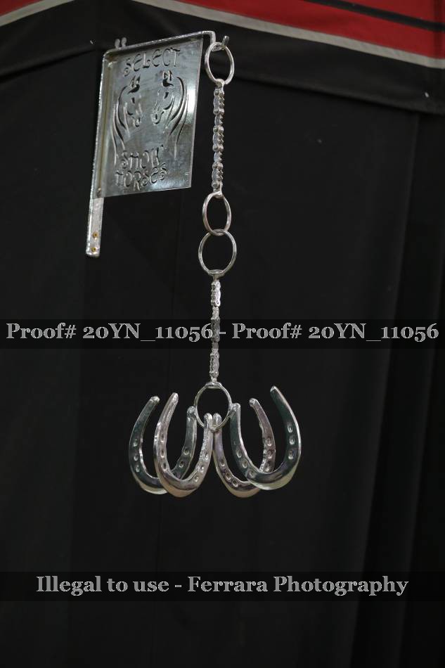 Proof 20YN_11056