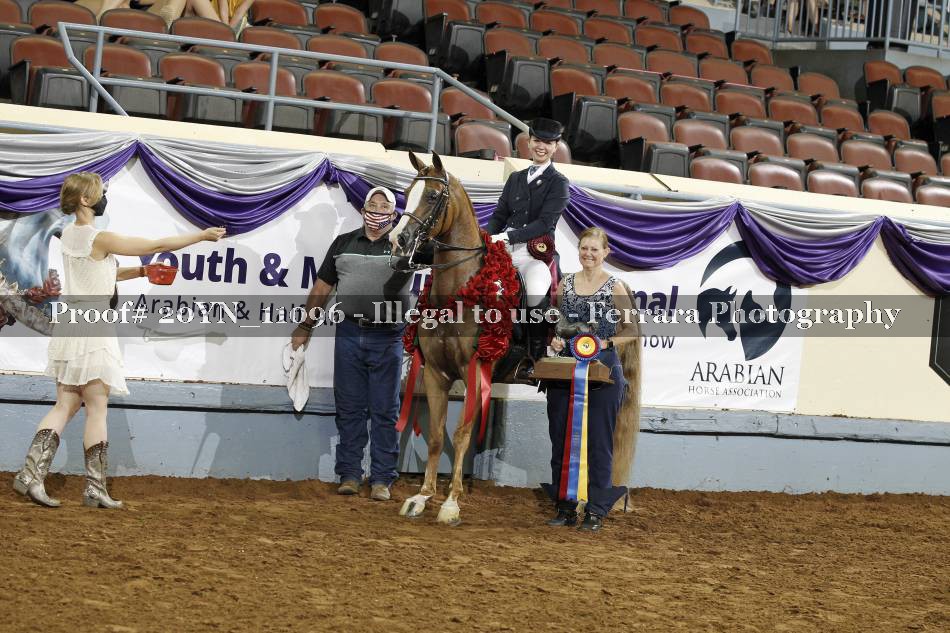 Proof 20YN_11096