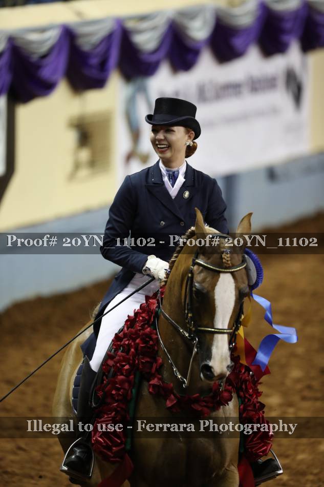 Proof 20YN_11102
