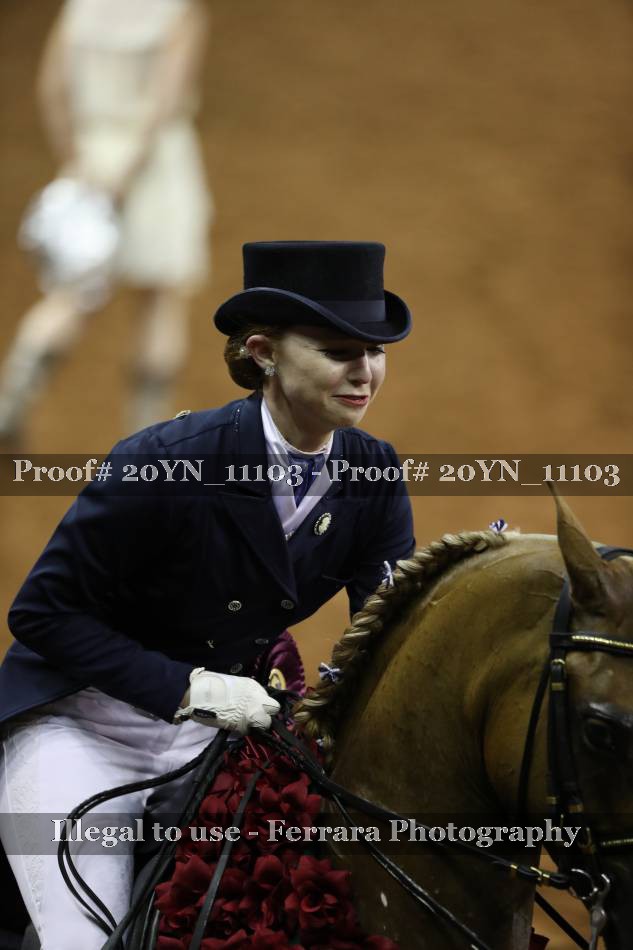 Proof 20YN_11103