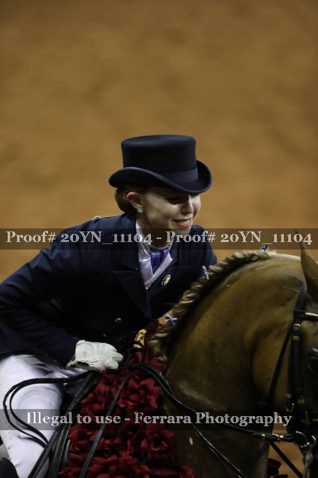 Proof 20YN_11104