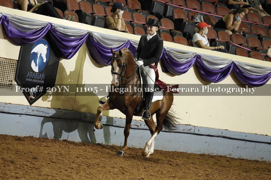 Proof 20YN_11105