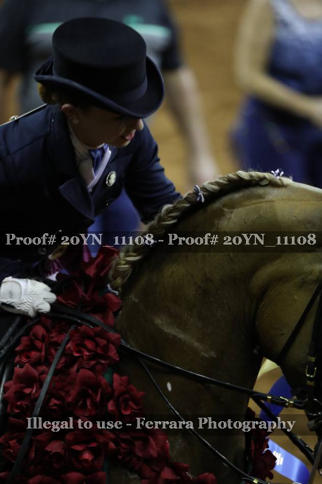 Proof 20YN_11108