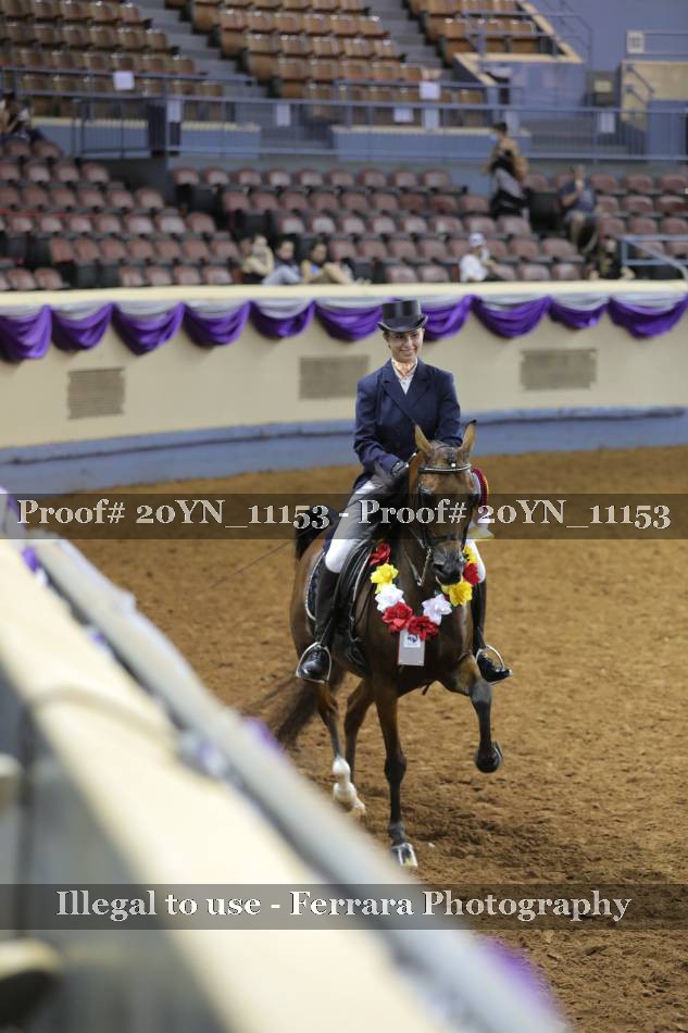 Proof 20YN_11153