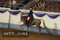 20YN_11164 proof