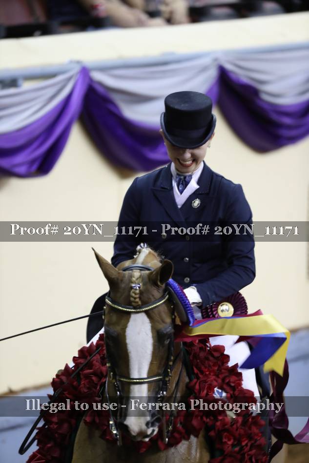 Proof 20YN_11171