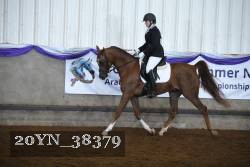 20YN_38379 proof