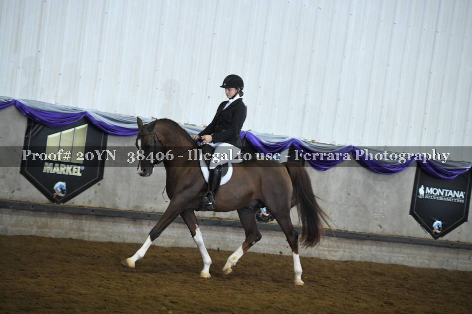 Proof 20YN_38406