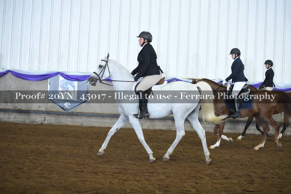 Proof 20YN_45017