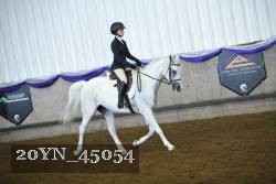 20YN_45054 proof