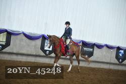20YN_45248 proof