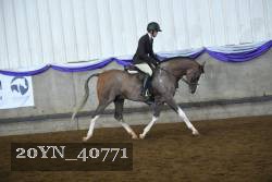 20YN_40771 proof