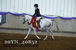 20YN_40852 proof