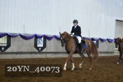 20YN_40073 proof