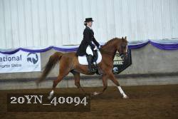 20YN_40094 proof