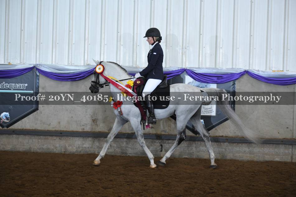 Proof 20YN_40185