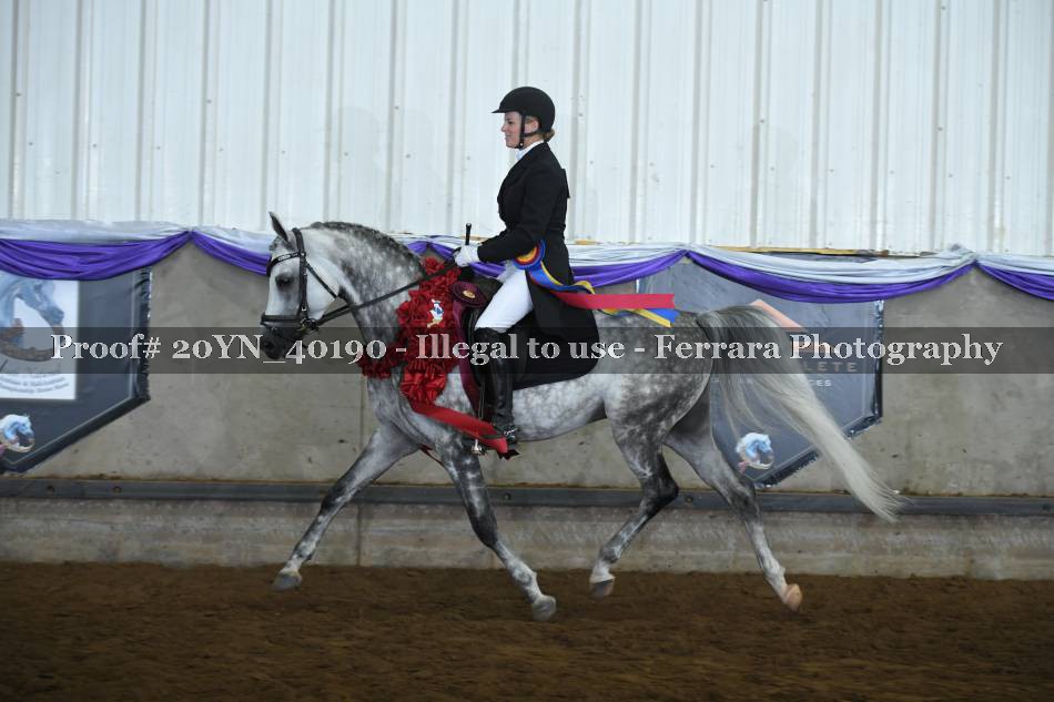 Proof 20YN_40190