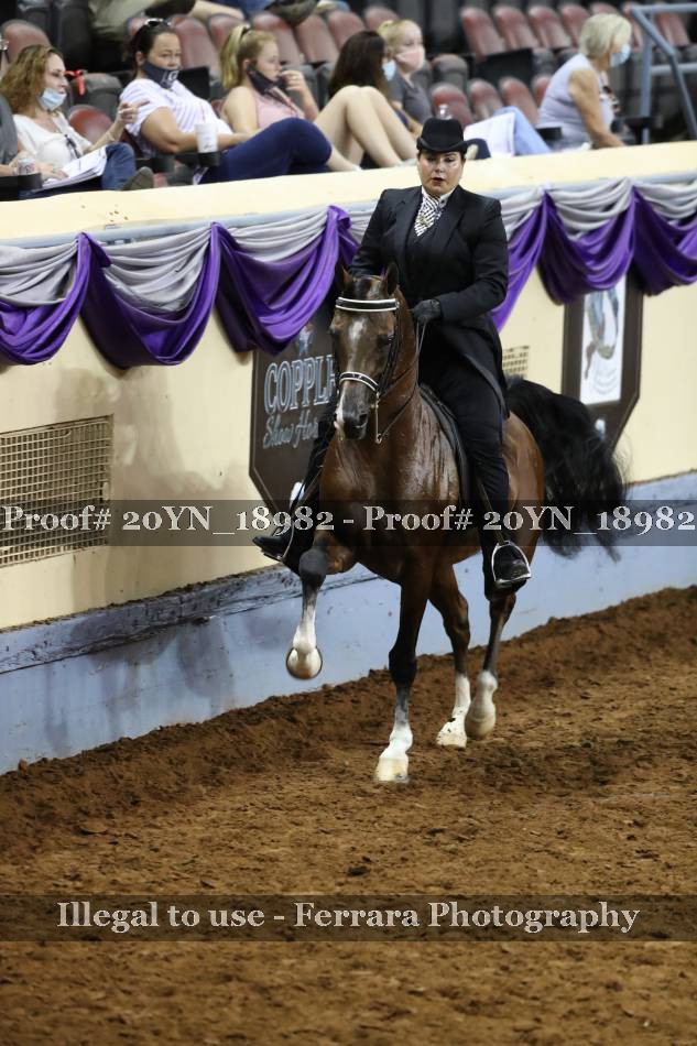 Proof 20YN_18982