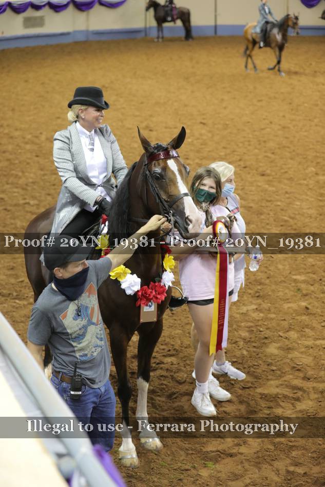 Proof 20YN_19381