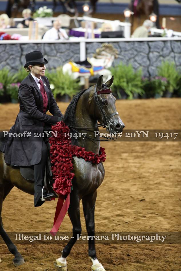 Proof 20YN_19417