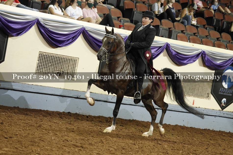 Proof 20YN_19461
