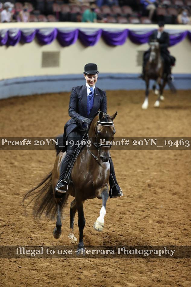 Proof 20YN_19463