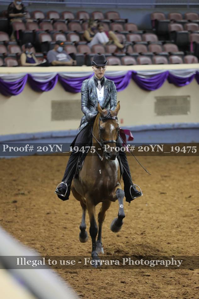Proof 20YN_19475