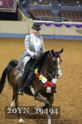 20YN_19494 proof