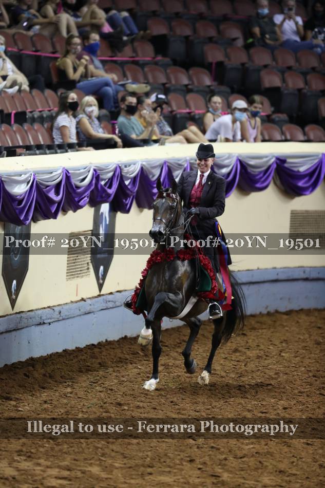 Proof 20YN_19501
