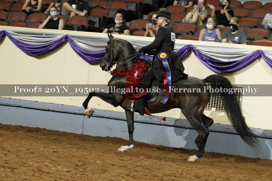 Proof 20YN_19502
