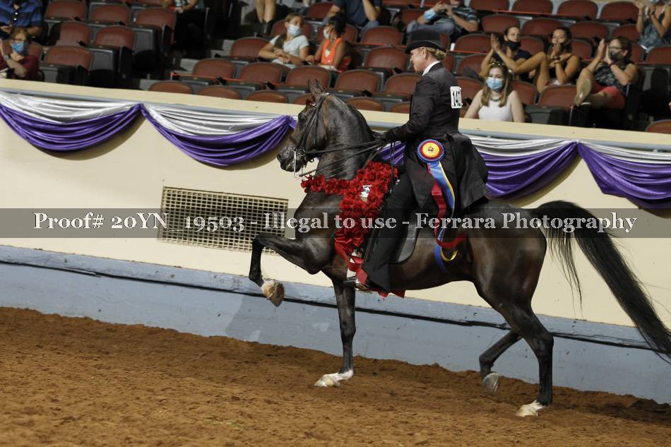Proof 20YN_19503