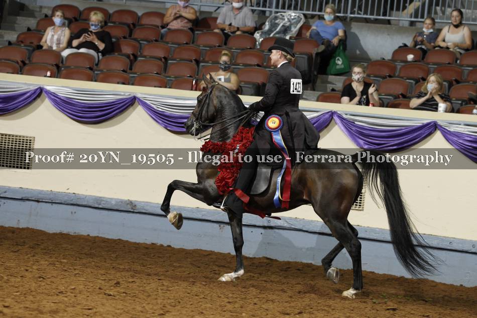 Proof 20YN_19505