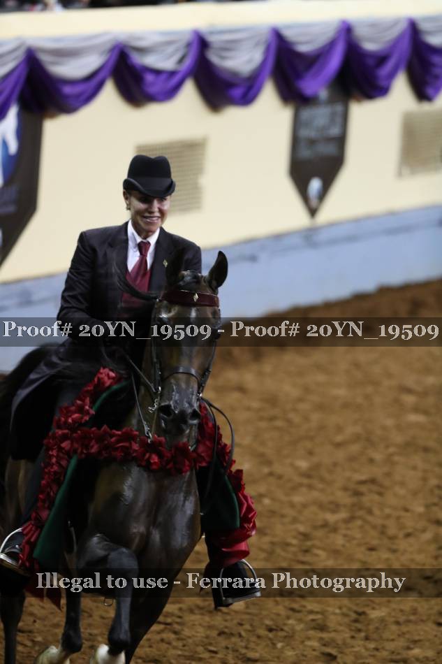Proof 20YN_19509