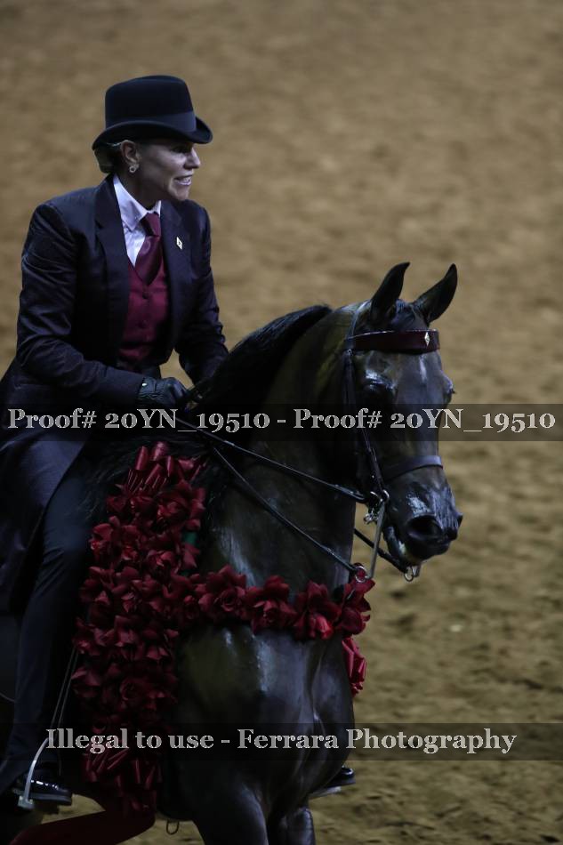 Proof 20YN_19510