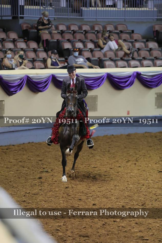 Proof 20YN_19511
