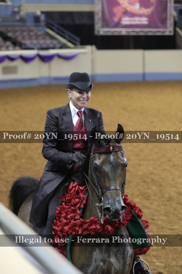 Proof 20YN_19514