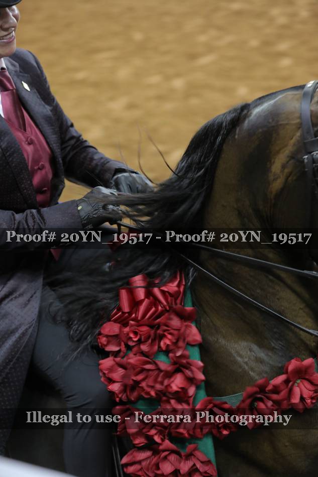 Proof 20YN_19517