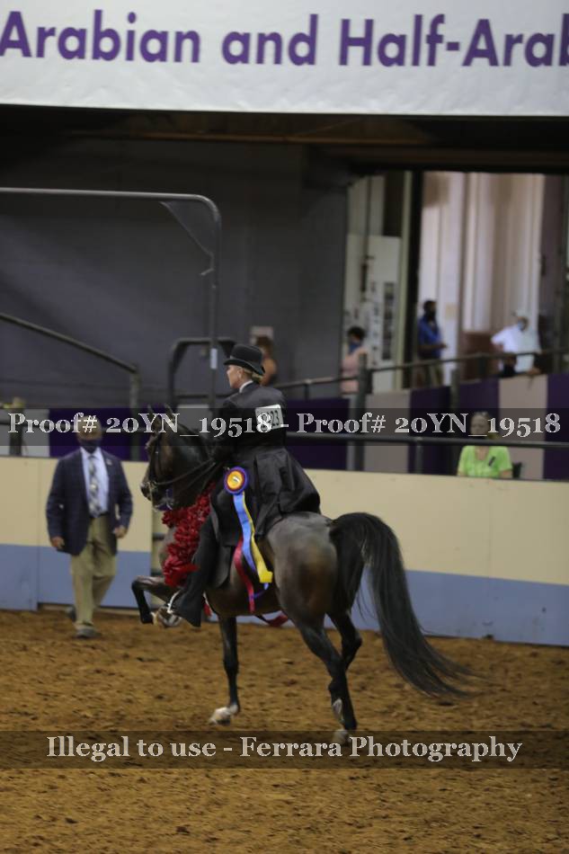 Proof 20YN_19518