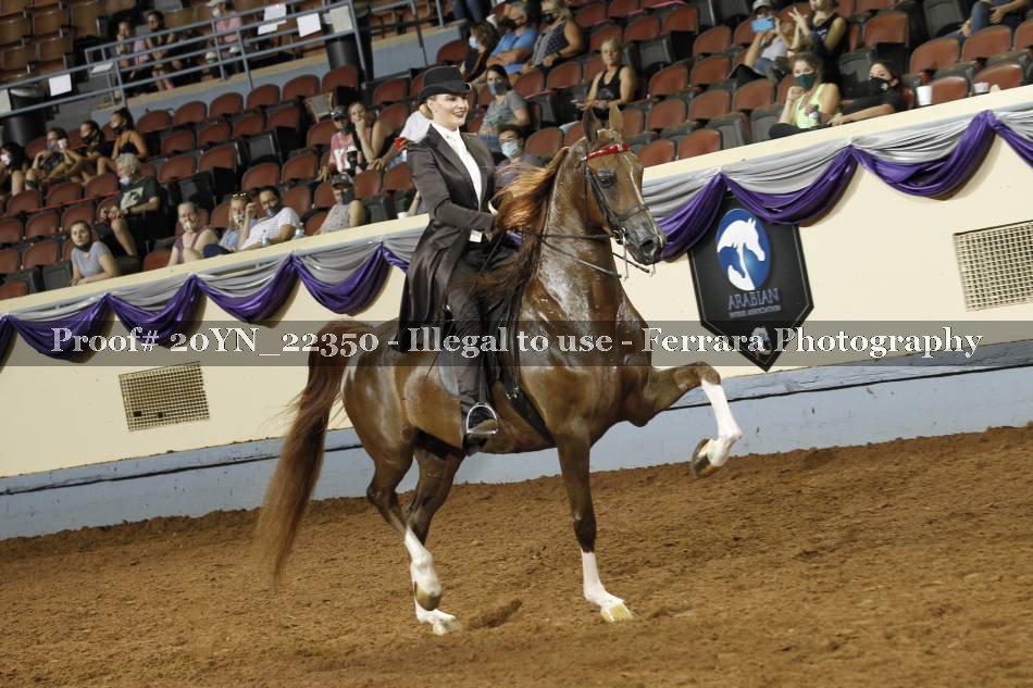Proof 20YN_22350