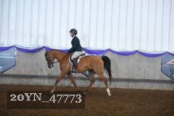 20YN_47773 proof