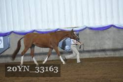 20YN_33163 proof