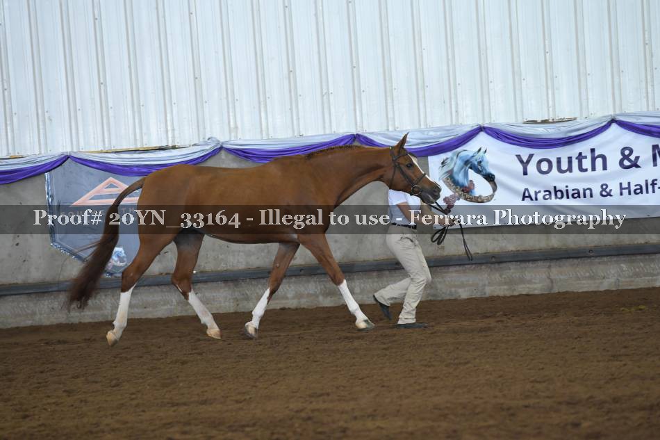 Proof 20YN_33164