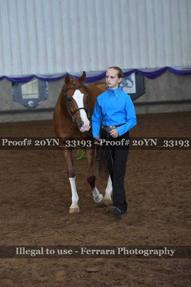 Proof 20YN_33193