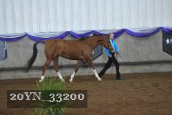 20YN_33200 proof