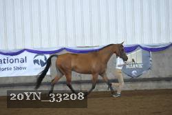 20YN_33208 proof