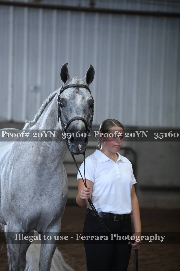 Proof 20YN_35160