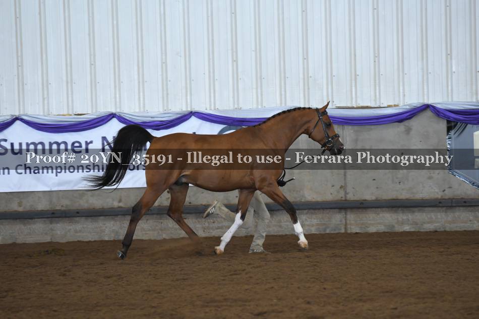 Proof 20YN_35191